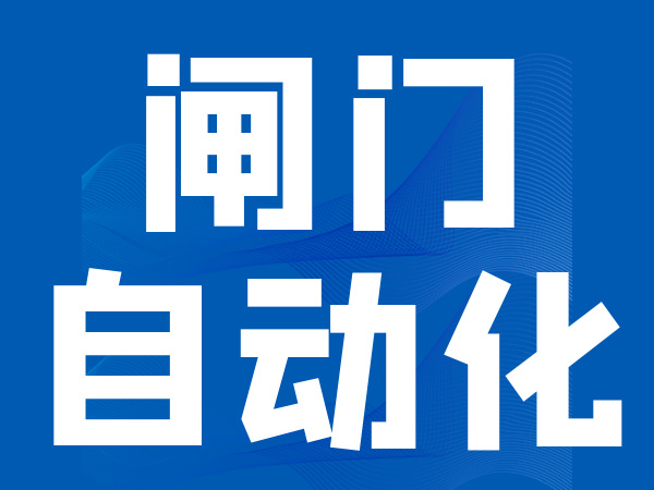 闸门自动化控制系统解决方案